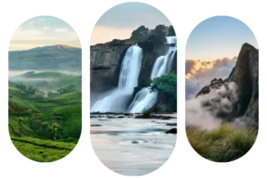 Munnar Tea Plantation, Athirappilly Waterfalls, and Meesapulimala
