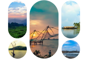 View from the Munnar hills, a dead tree in Thekkady Lake, a Chinese net in Fort Kochi, a houseboat in the Alappuzha backwaters, and view from Kovalam Beach