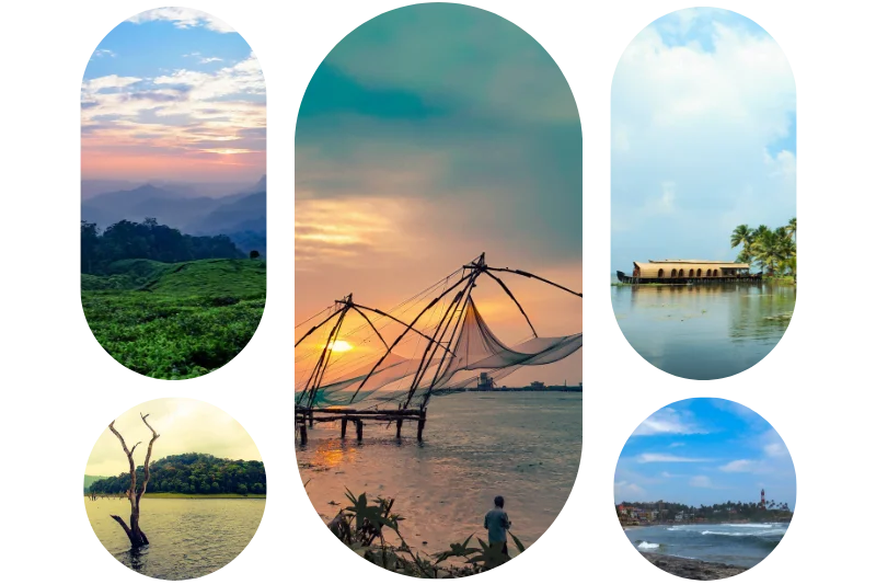 View from the Munnar hills, a dead tree in Thekkady Lake, a Chinese net in Fort Kochi, a houseboat in the Alappuzha backwaters, and view from Kovalam Beach
