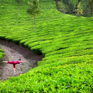Yoga in Munnar Tea Plantation