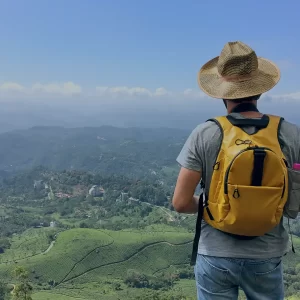 munnar-v-1920x1280