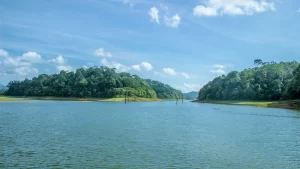 Periyar Lake