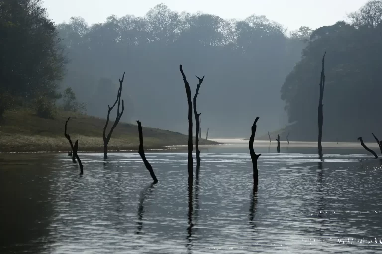 thekkady-1920x1280
