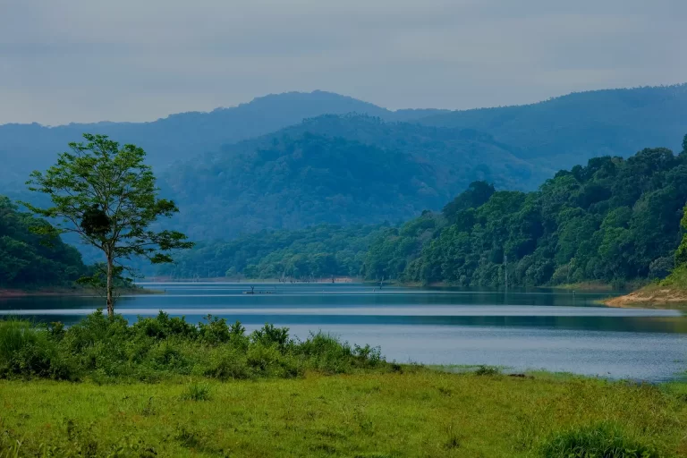 thekkady-f-1920x1280