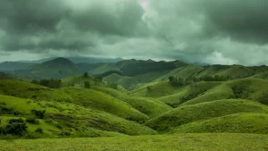 Vagamon Meadows