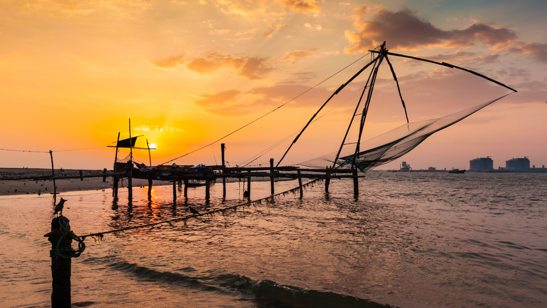 kochi